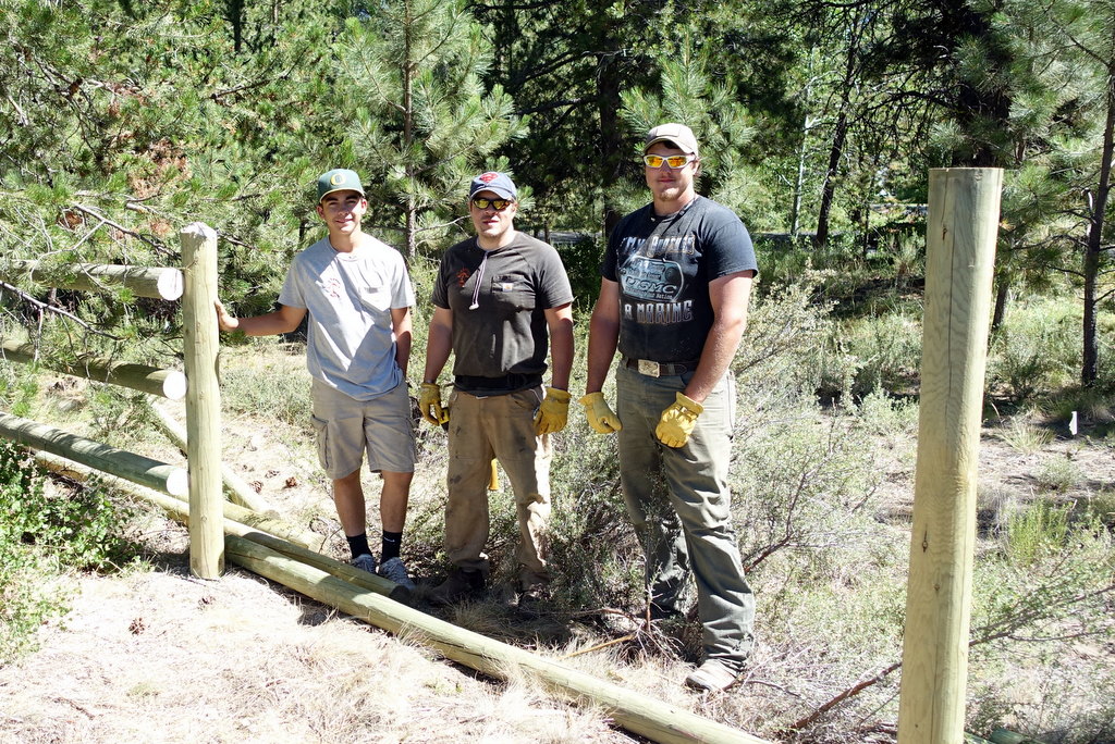 Fence Team